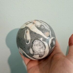 Thousand eye jasper sphere shell stone fossil crystal